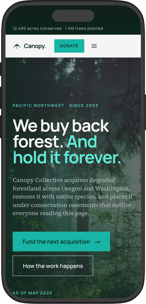 Canopy Collective mobile cover